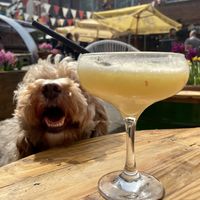   at GRUB in Manchester