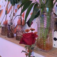 tudo de verdade 💚 at Vila das Rosas - Pinheiros in Sao Paulo