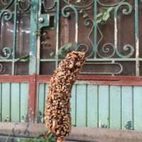 Banana with nuts   at Vegan Parad-ice in Cruz De Huanacaxtle