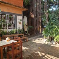 Interior garden dining area at Vegan Parad-ice in Cruz De Huanacaxtle