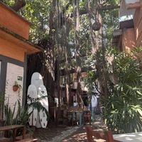   at Vegan Parad-ice in Cruz De Huanacaxtle