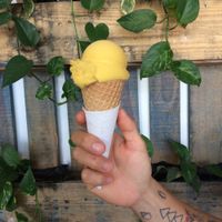 Mango Season  at Vegan Parad-ice in Cruz De Huanacaxtle