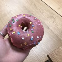 Sprinkle!   at Doe Donuts in Portland