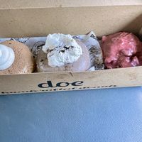   at Doe Donuts in Portland