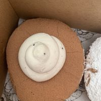 Tiramisu filled  at Doe Donuts in Portland