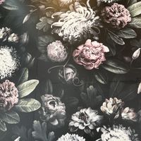   at Doe Donuts in Portland