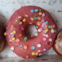 Doe! at Doe Donuts in Portland