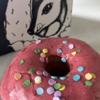 Strawberry  at Doe Donuts in Portland