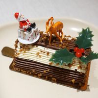 Yule log cake (Bûche de Noel) at Laelo in Paris