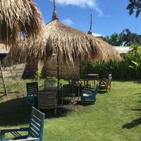 The garden  at Thyme and Caramel in Canggu