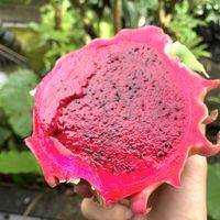   at 9 Angels Warung in Ubud