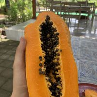   at 9 Angels Warung in Ubud