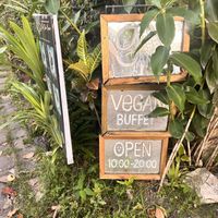  Vegan buffet  at 9 Angels Warung in Ubud