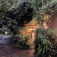   at 9 Angels Warung in Ubud