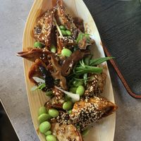 Gyoza  at Foodstock  in Bratislava