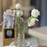   at Foodstock  in Bratislava