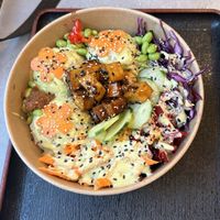   at Foodstock  in Bratislava