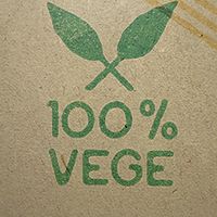   at Foodstock  in Bratislava