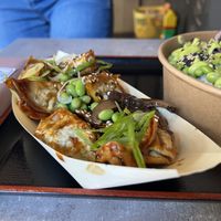 Gyozas  at Foodstock  in Bratislava