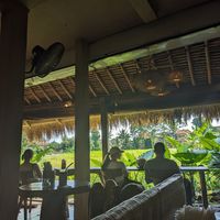 View at Atman Nourish Kafe in Ubud