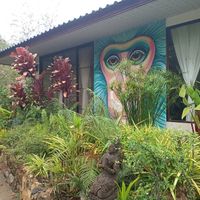  at Wonderland Healing Center Vegan Buffet in Koh Phangan