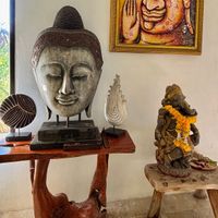 Main yoga shala  at Wonderland Healing Center Vegan Buffet in Koh Phangan