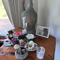 White rabbit shala  at Wonderland Healing Center Vegan Buffet in Koh Phangan