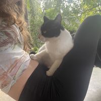   at Wonderland Healing Center Vegan Buffet in Koh Phangan