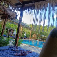 Pool view at Wonderland Healing Center Vegan Buffet in Koh Phangan