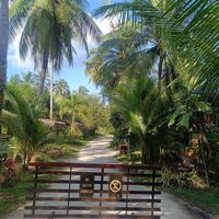  at Wonderland Healing Center Vegan Buffet in Koh Phangan