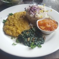 basmati, dahl and chutney at ACU at ACU in Utrecht