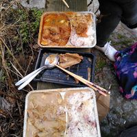 vegan duck and vegan curry, 04/21 at Chay Long in Berlin