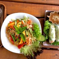 organic noodles with vegetables and organic tofu with spring rolls in a homemade peanut butter sauce  at Chay Long in Berlin