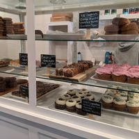Vegan and gluten free case at Bloom Bake Shop in Madison