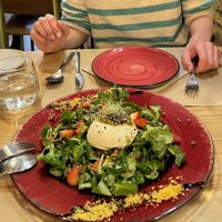   at Mapa Verde in San Sebastian