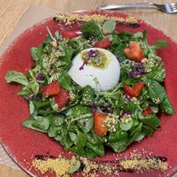 Burrata  at Mapa Verde in San Sebastian