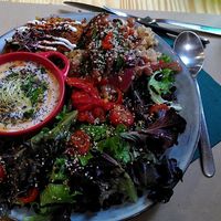 Dish of the day at Mapa Verde in San Sebastian