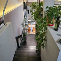 Plants~ at VgOloso in Venice