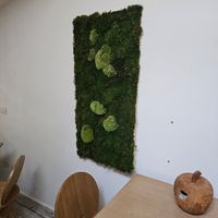  at VgOloso in Venice