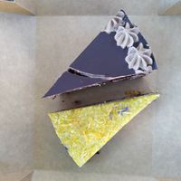  at Rosenberg in Potsdam