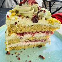   at Rosenberg in Potsdam