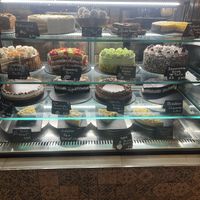   at Rosenberg in Potsdam