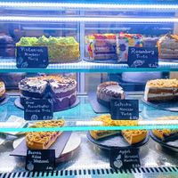  at Rosenberg in Potsdam