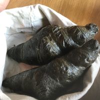 Activated charcoal vegan croissants! Yum at Rosenberg in Potsdam