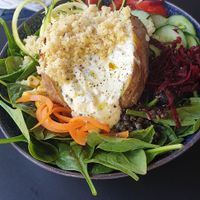 Bowl at Rosenberg in Potsdam