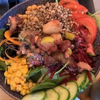 Rosenberg Bowl at Rosenberg in Potsdam