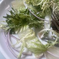   at Chicago Cafe in Brussels