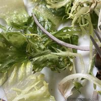   at Chicago Cafe in Brussels