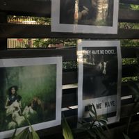 Front  at Rad Rabbit in Chiang Mai