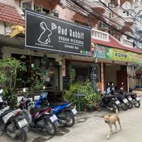 Entrance   at Rad Rabbit in Chiang Mai